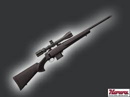 Howa  .223 Mini Action  Bolt Action  Centerfire Rifle Package
